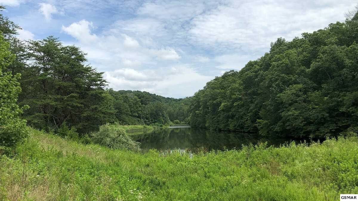 Property Photo: 4162 Snyder Road TN 37764