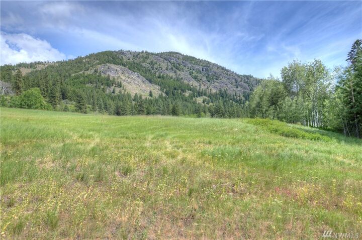 Property Photo:  75 Homestead Rd  WA 98862 