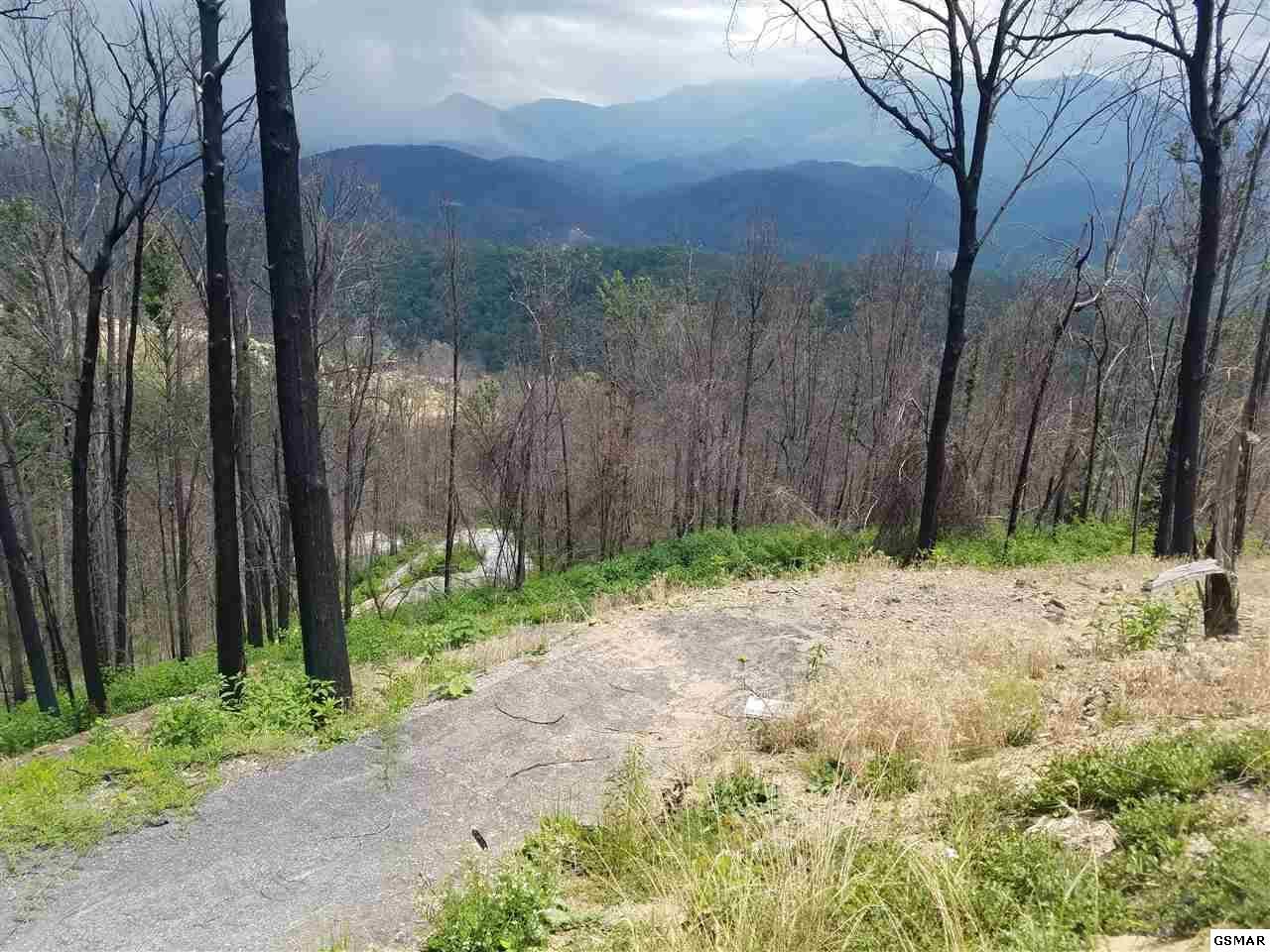 Property Photo:  864 Skyline Drive  TN 37738 