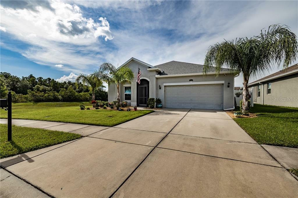 Property Photo:  32919 Hillman Court  FL 33543 