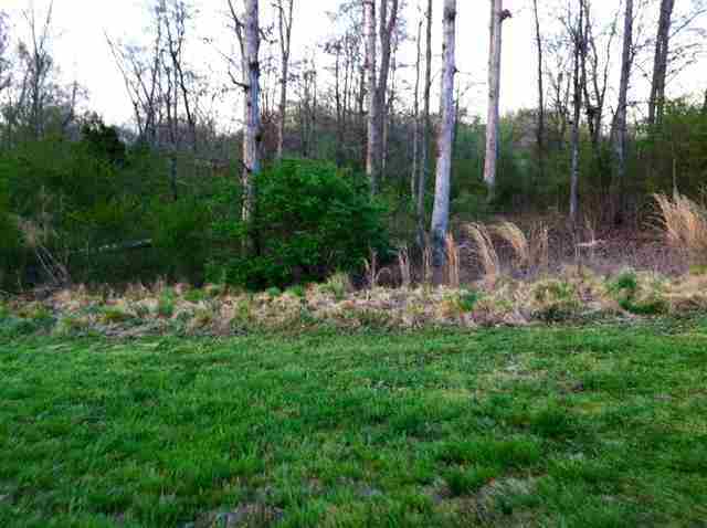 Property Photo:  Lot 24 County Road 7030  TN 37303 