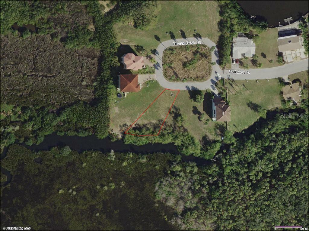 Property Photo:  Emerald Pointe Circle Lot 4  FL 34668 