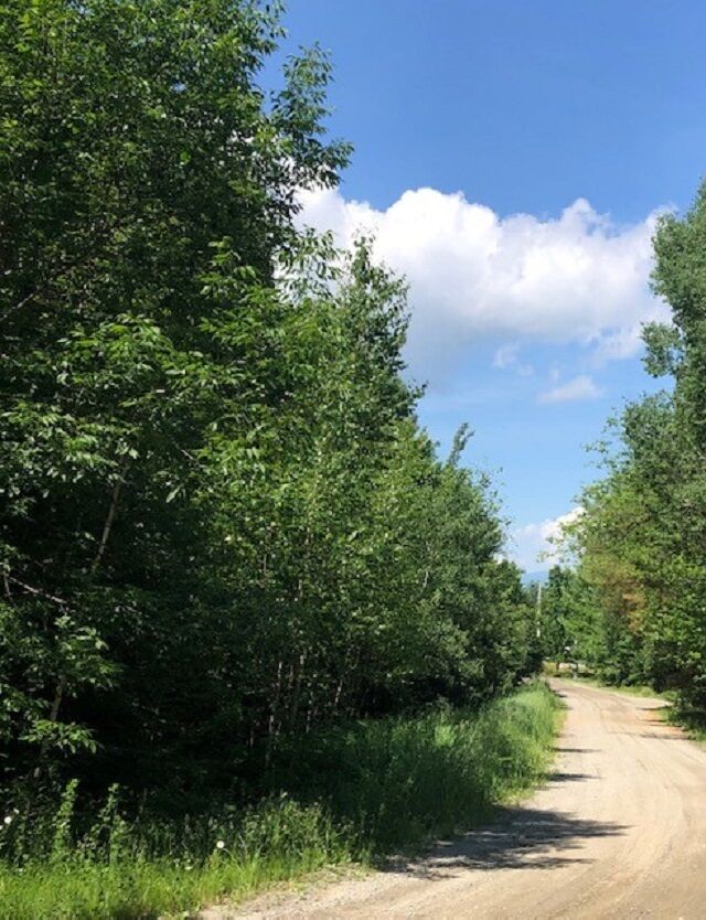 Property Photo:  0 Elmore Knolls West Road Lot #3  VT 05657 