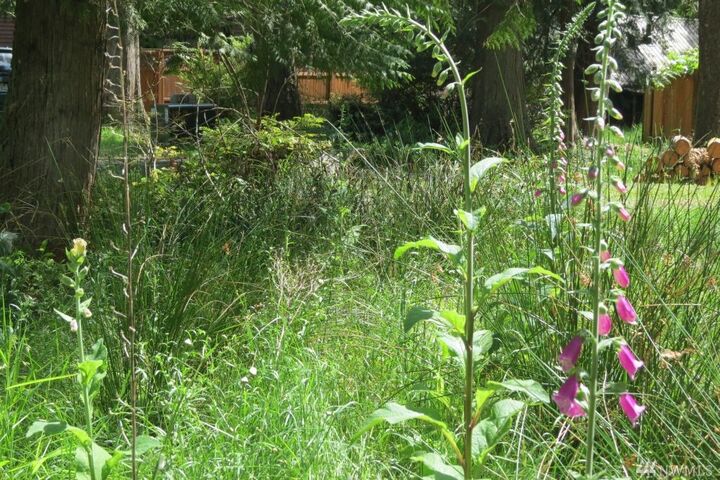 Property Photo:  315 E Pointes Dr E  WA 98584 