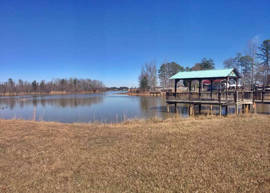 Property Photo: 800 County Road 480 AL 35960