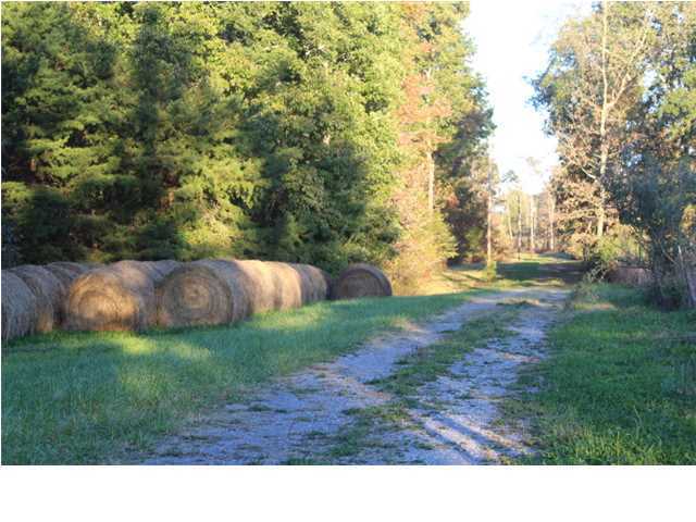 Property Photo: 1142 County Rd 146 AL 35966