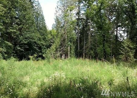 Property Photo:  0 163rd Ave NW  WA 98349 