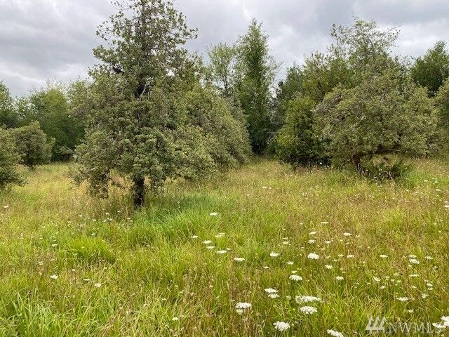 Property Photo: 2 Hinkley Rd WA 98591