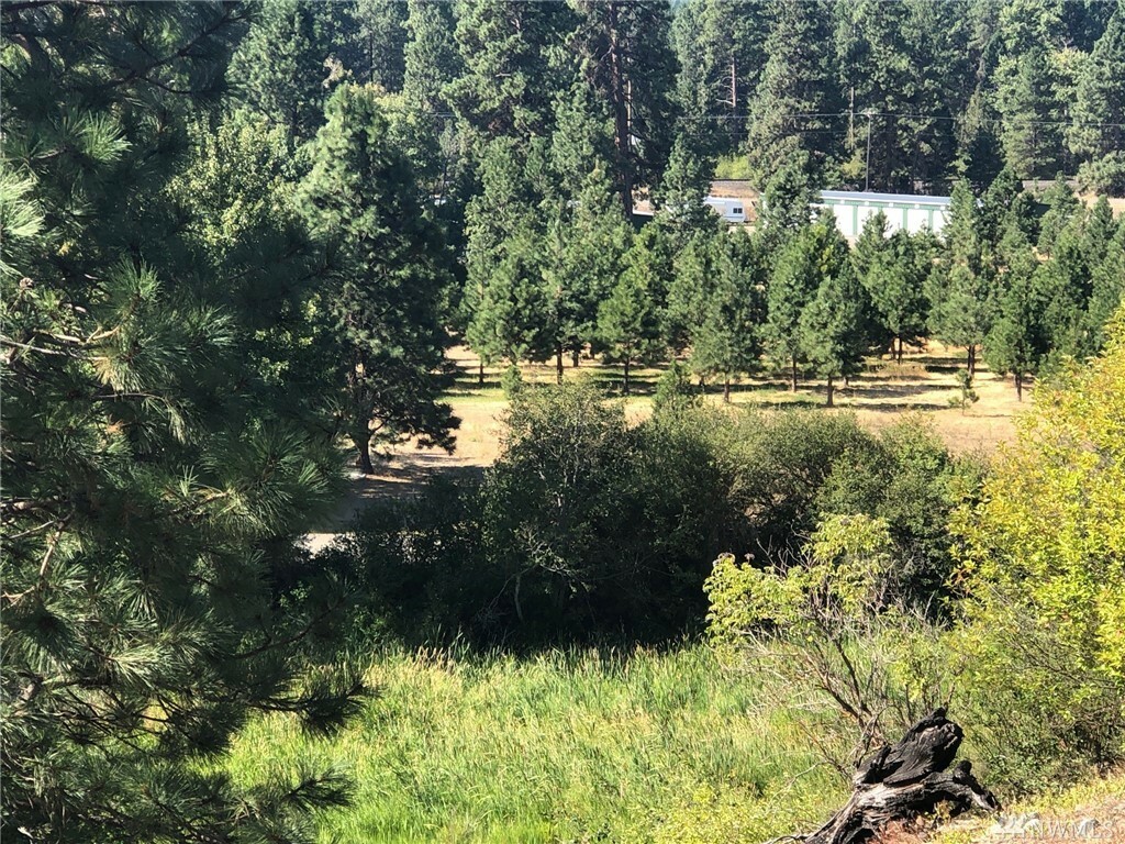 Property Photo:  3581 SR 970  WA 98922 