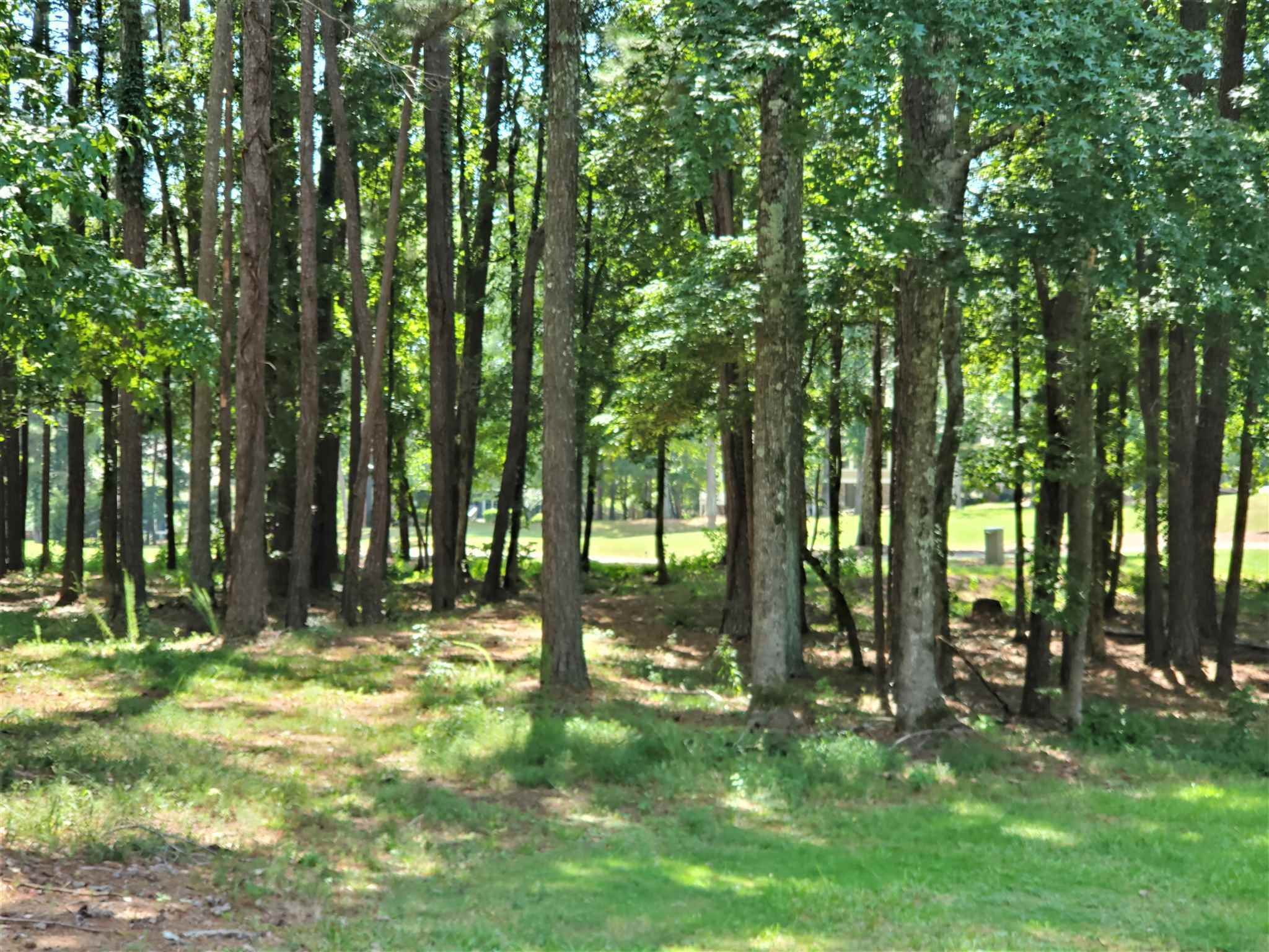 Property Photo: 1001 Spyglass Hill GA 30642