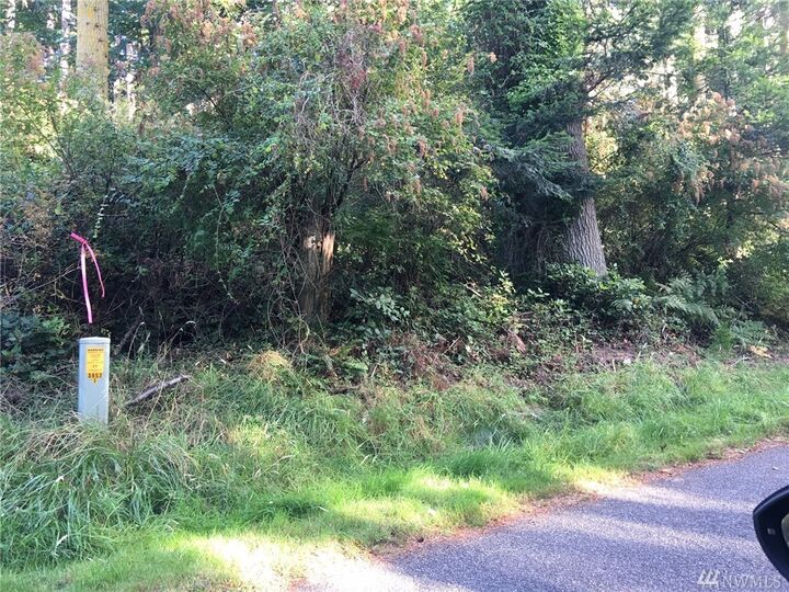 Xxx Basswood Rd  Freeland WA 98249 photo