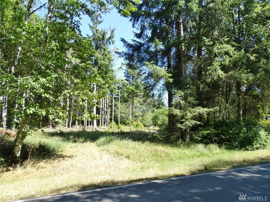 Property Photo:  100 Duck Lake Dr NE  WA 98569 