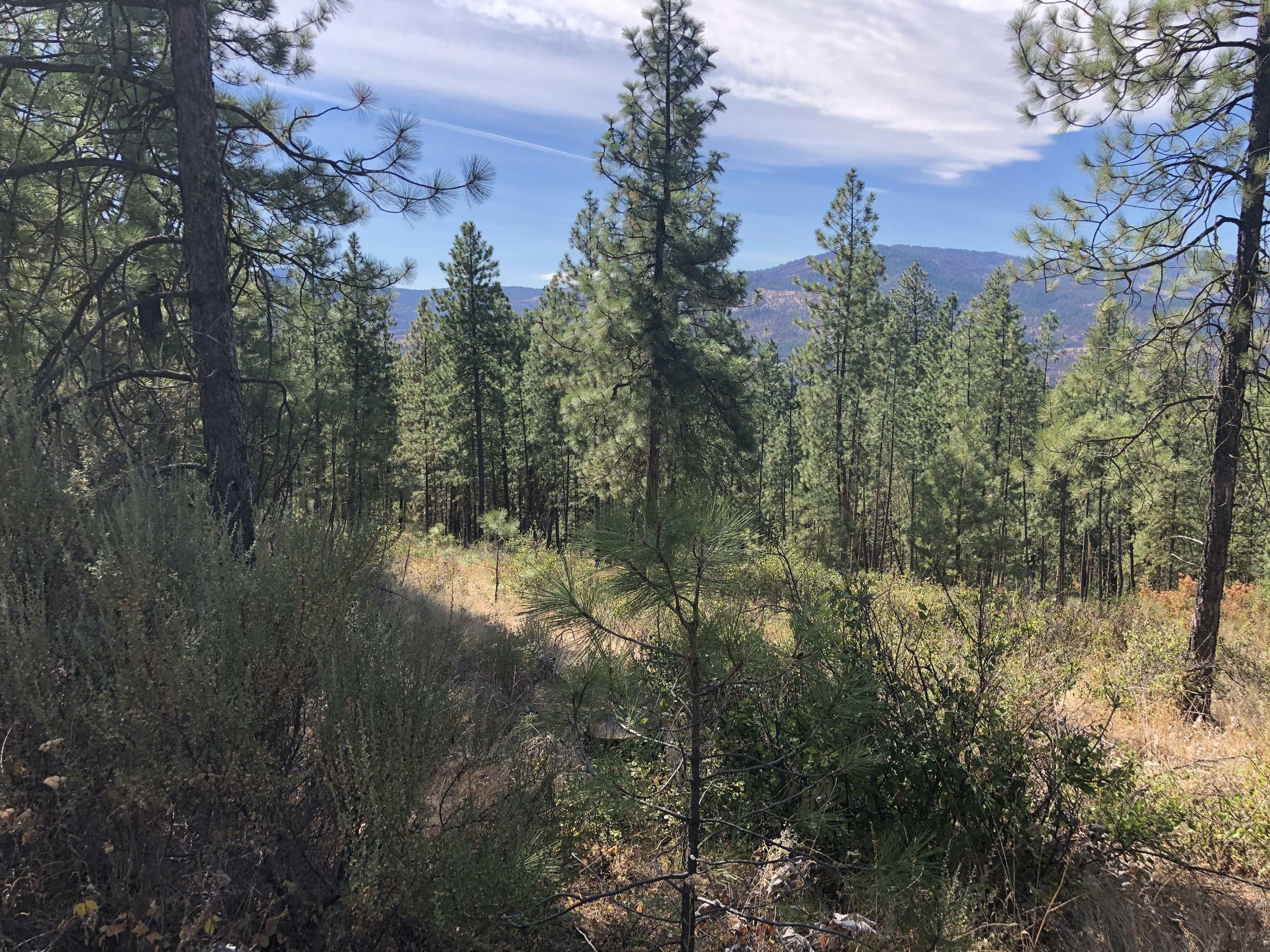 Property Photo:  Tbd Castle Rock Creek Rd (Lot 1)  WA 99129 