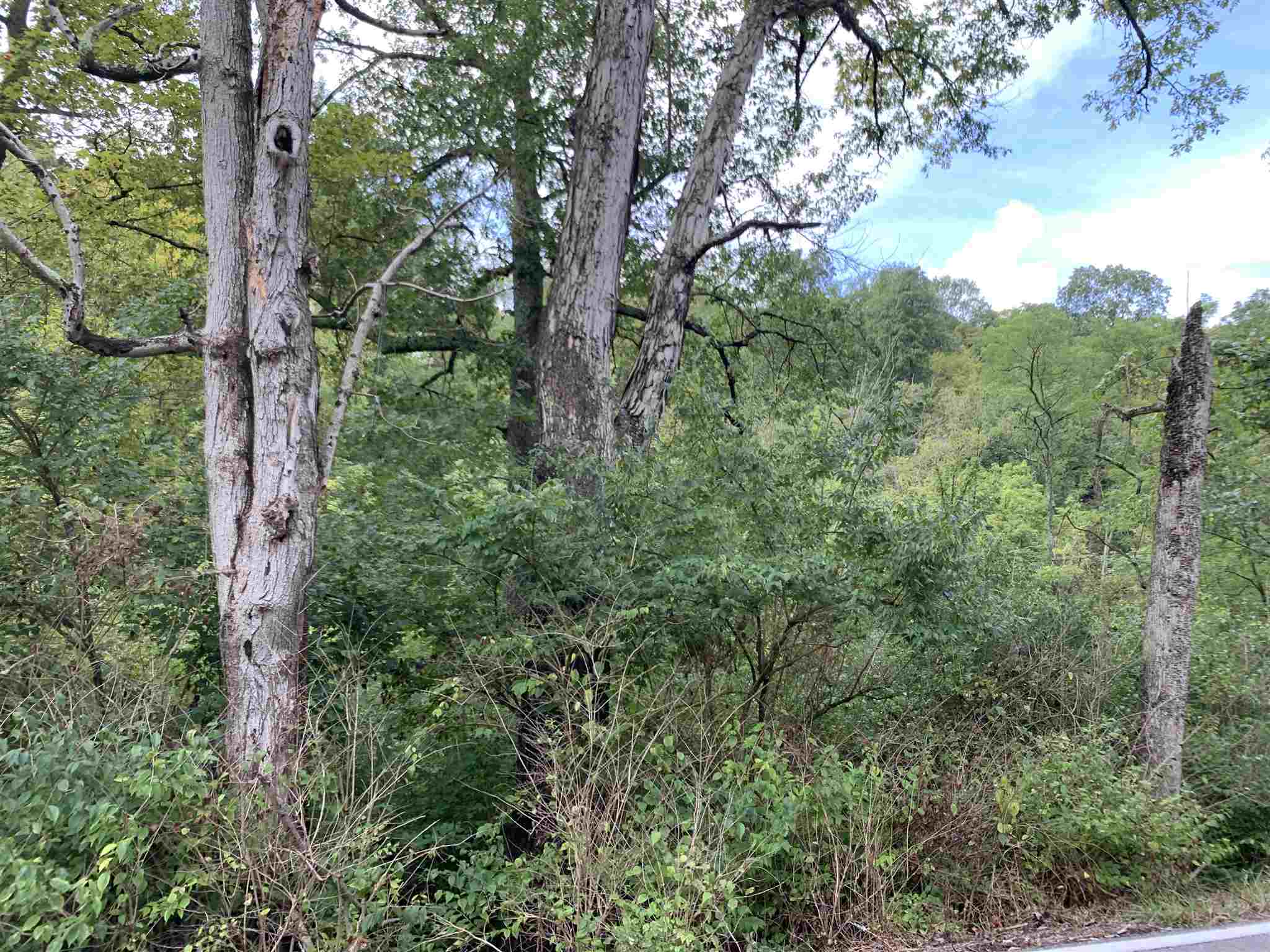 Property Photo:  4889 Fowler Creek Road  KY 41017 