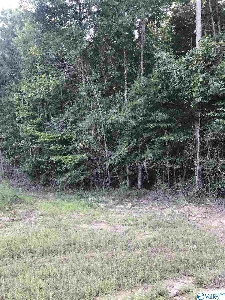 Lot 30 County Road 279  Moulton AL 35650 photo