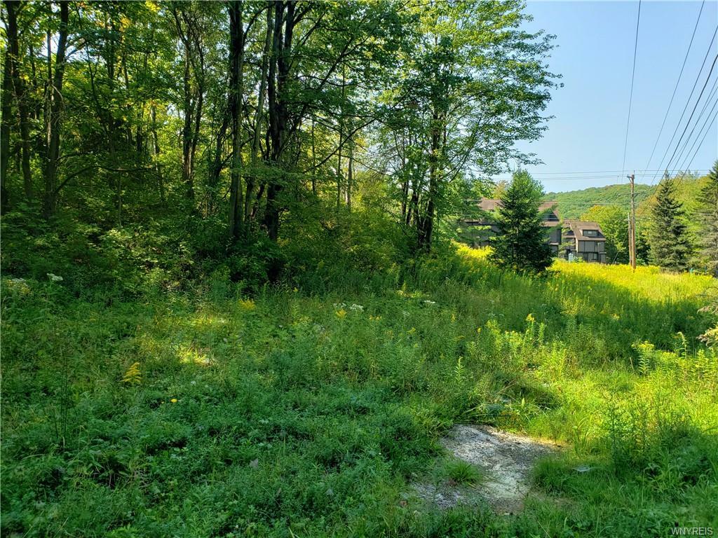 Property Photo:  0 Bella Vista Drive  NY 14731 