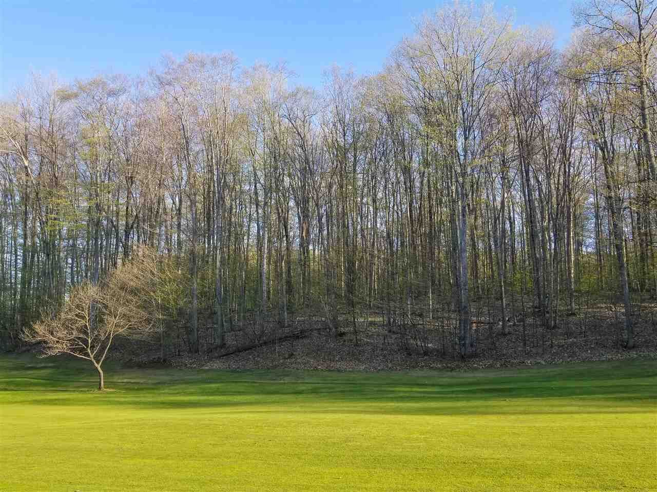 Property Photo:  5228 Just-A-Mere  MI 49740 