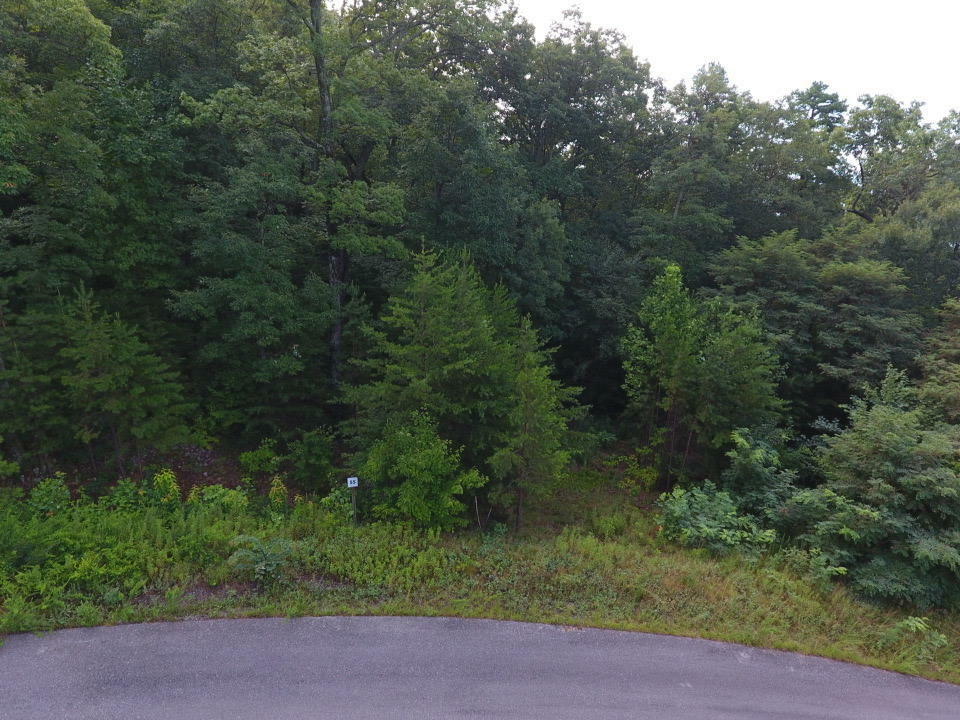 Property Photo:  Lot #55 Mountain Ash Way  TN 37876 