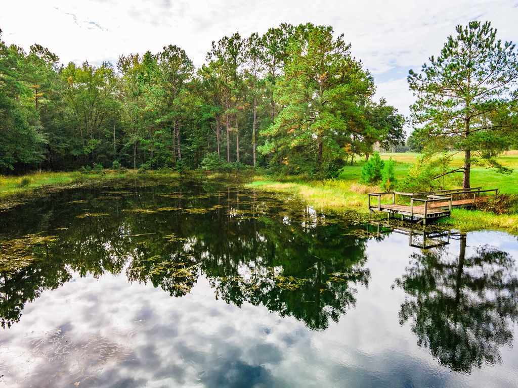 Property Photo:  Lot 4 Grass Pond Drive  FL 32309 