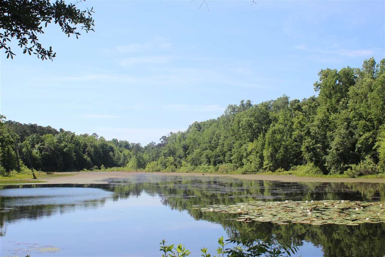 Property Photo:  Xx Hoot Owl Hill Loop -  FL 32317 