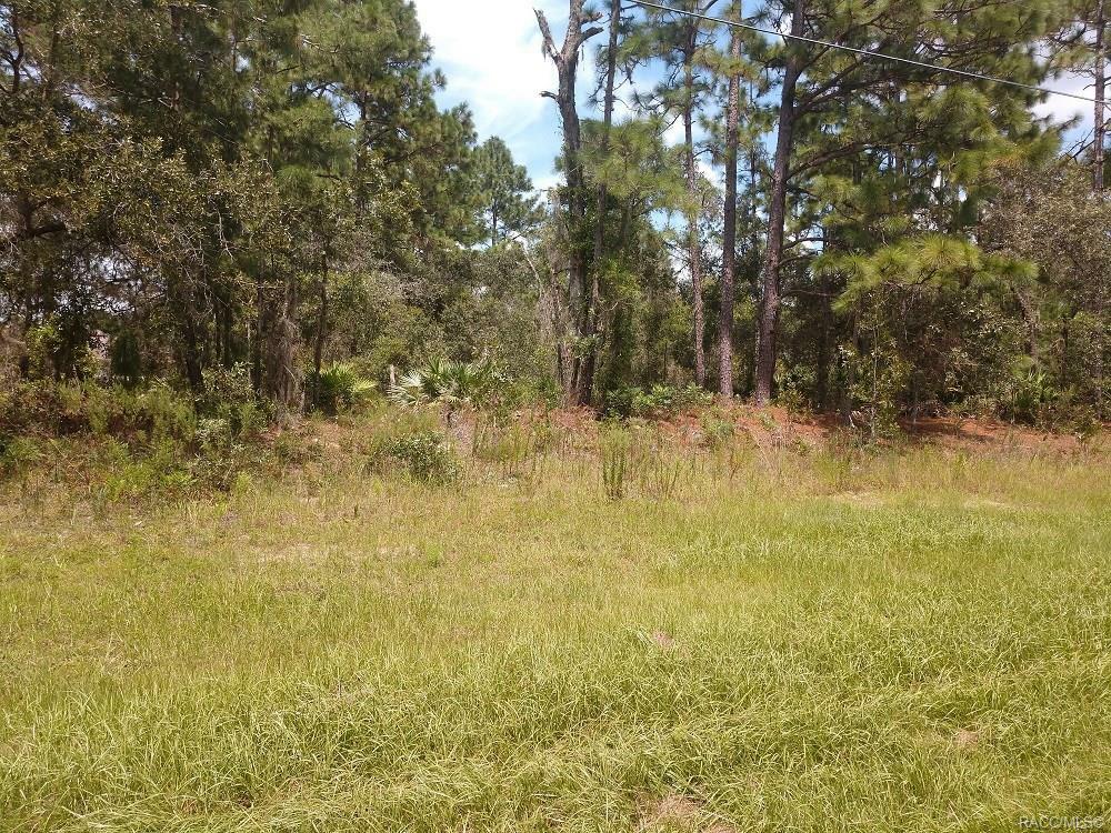 Property Photo:  1635 W Citrus Springs Boulevard  FL 34434 