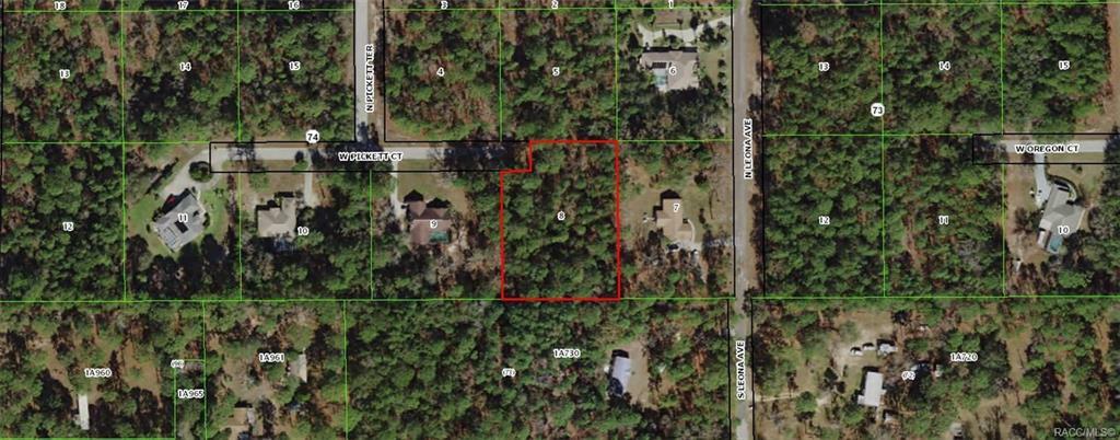 Property Photo:  1826 W Pickett Court  FL 34442 