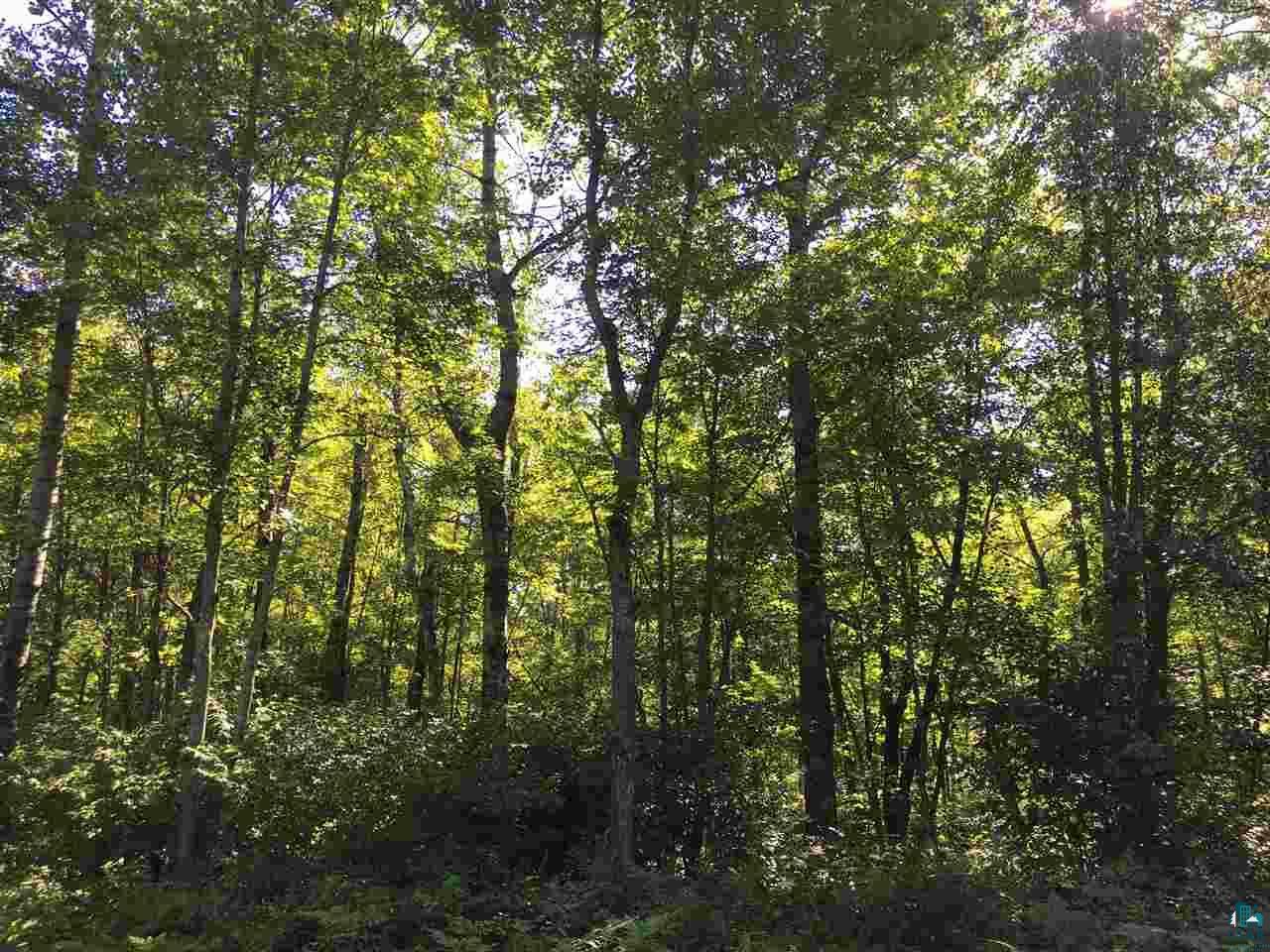 Property Photo:  Lot 22 E Ruth Lake Rd  WI 54847 