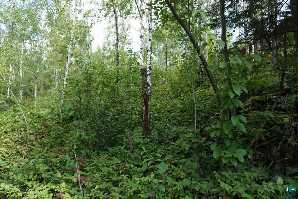 Property Photo:  5158 Snowshoe Tr  MN 55614 