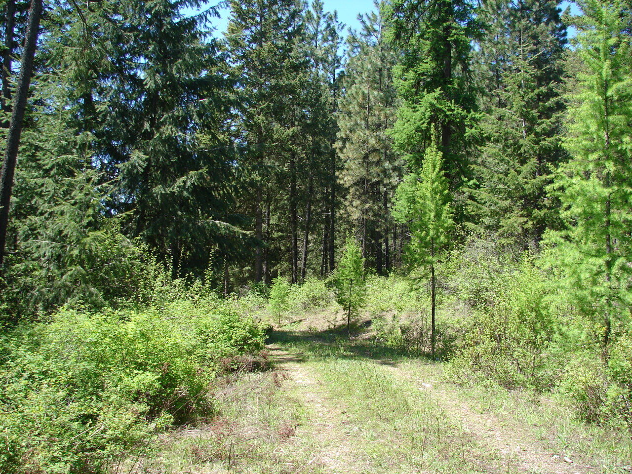 Property Photo:  2501 Highline Rd  WA 99109 
