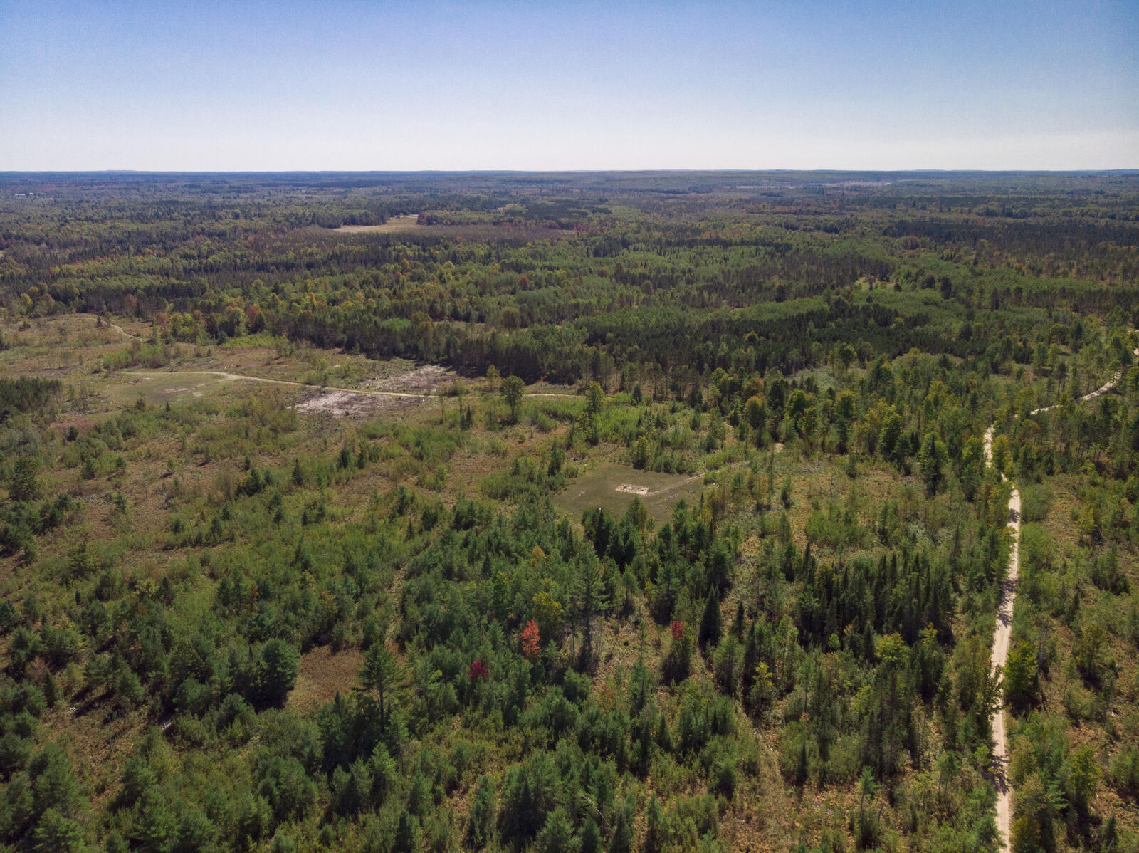 Property Photo: Vl Emerald Trail MI 49735