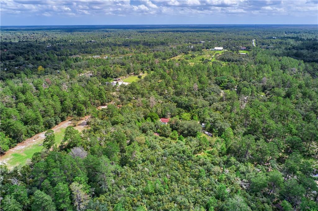 Property Photo:  43245 Cooter Pond Road  FL 32720 