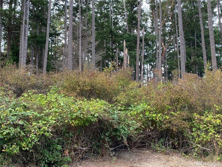 Property Photo: 0 7th St NW WA 98239