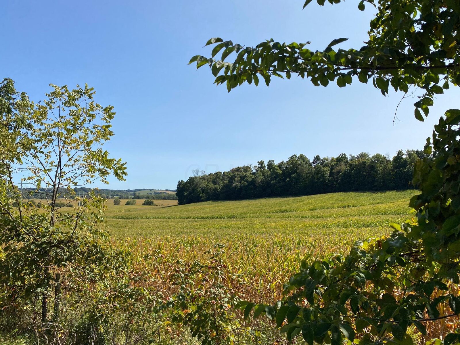 Property Photo:  0 Duncan SW Road  OH 43130 