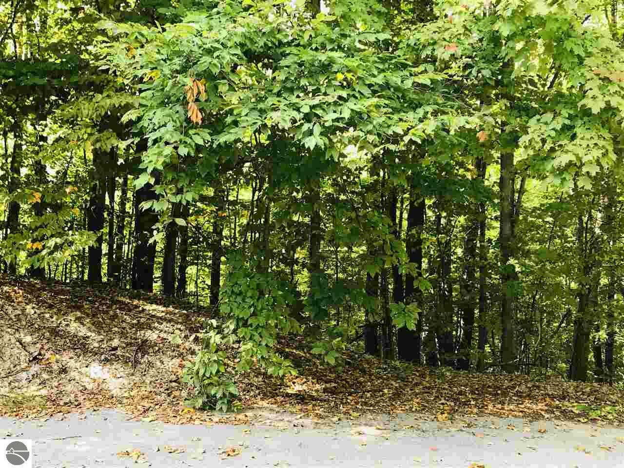 Property Photo:  Lot 15 Rue De Montagne  MI 49659 