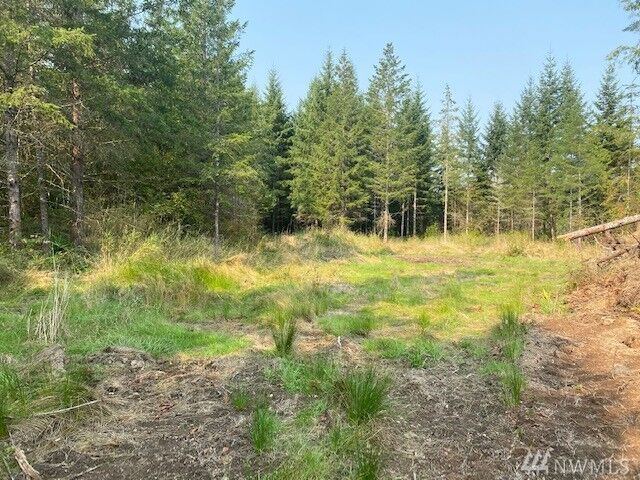 Property Photo: 187 Roppert Rd WA 98596