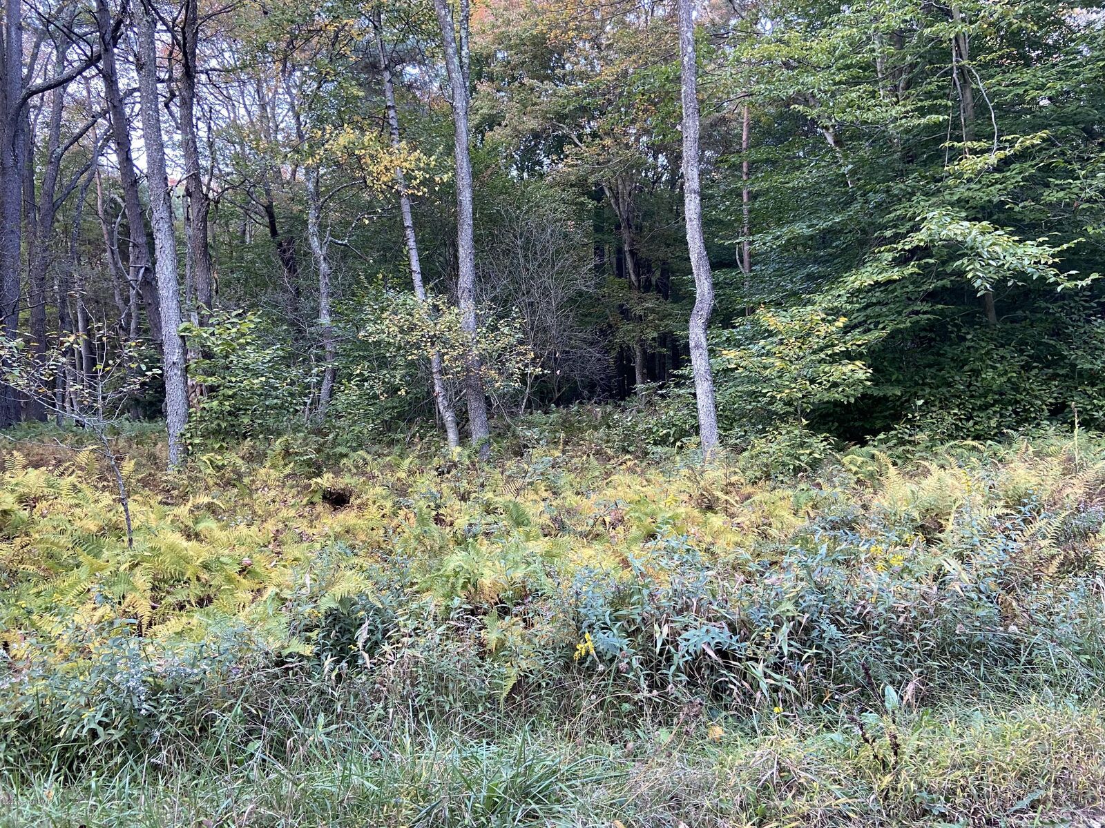 Property Photo: Robyn Lane PA 18610