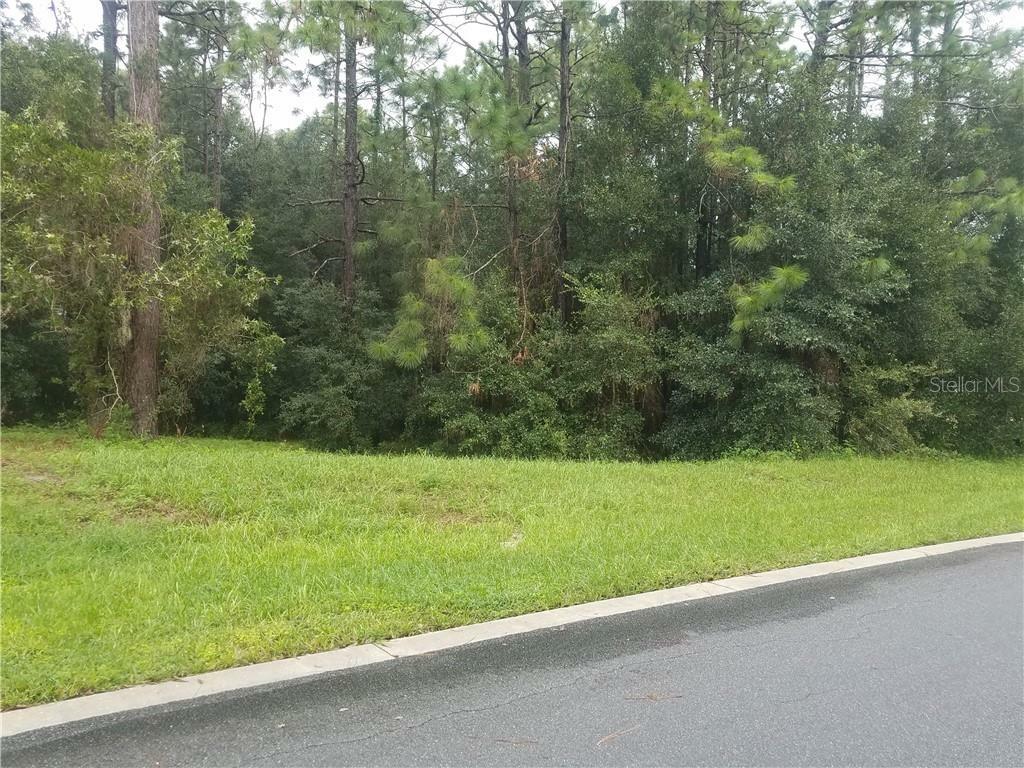 Property Photo:  1630 Timbers Edge Drive  FL 32724 