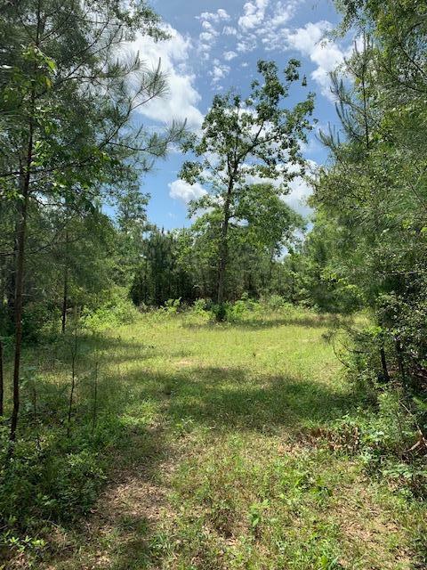 Property Photo:  0 Silver Run (38 +/- Ac) Rd.  MS 39573 