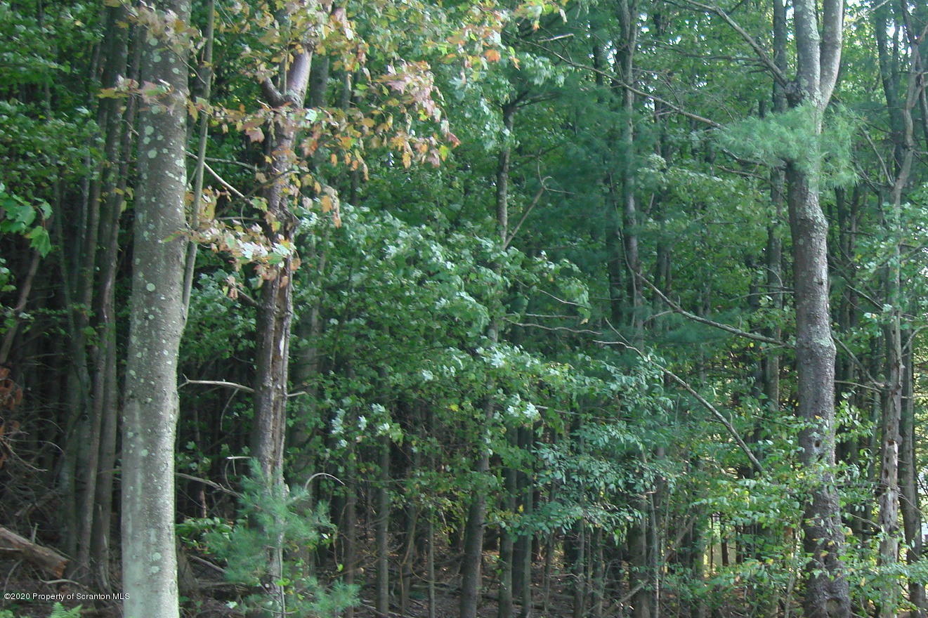 Property Photo:  Lot 2 Lake Of Meadows Rd South  PA 18830 