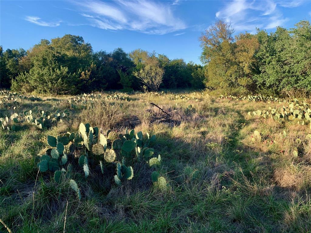 Property Photo:  760 Jimmy Houston Way  TX 76433 