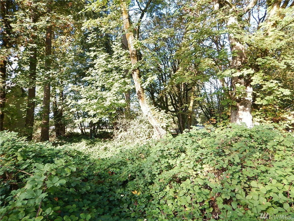 Property Photo:  11324 183rd Dr NE  WA 98252 