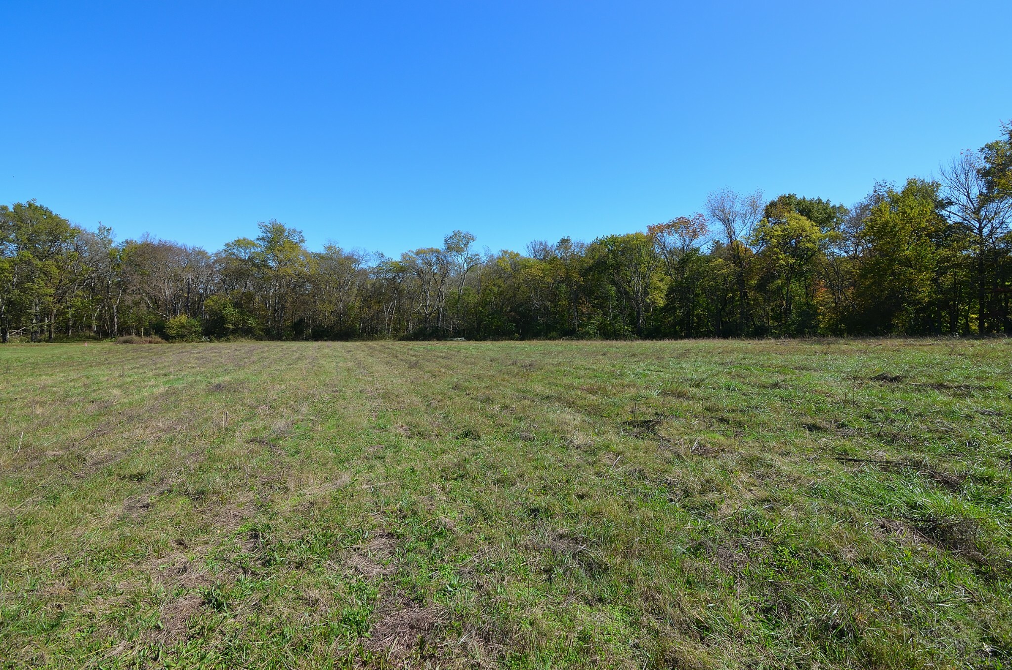 Property Photo:  0 Carters Creek Pike  TN 38401 