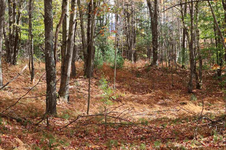 Property Photo: 11 Shepherd'S Way 4 VT 05489