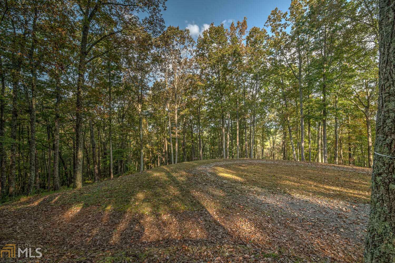 Property Photo:  0 Settlement Trail Lt 20R  GA 30536 