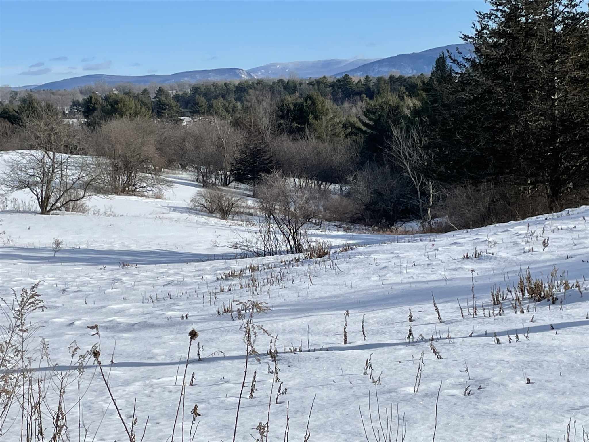 Property Photo:  0 Morgan Horse Farm Road  VT 05753 