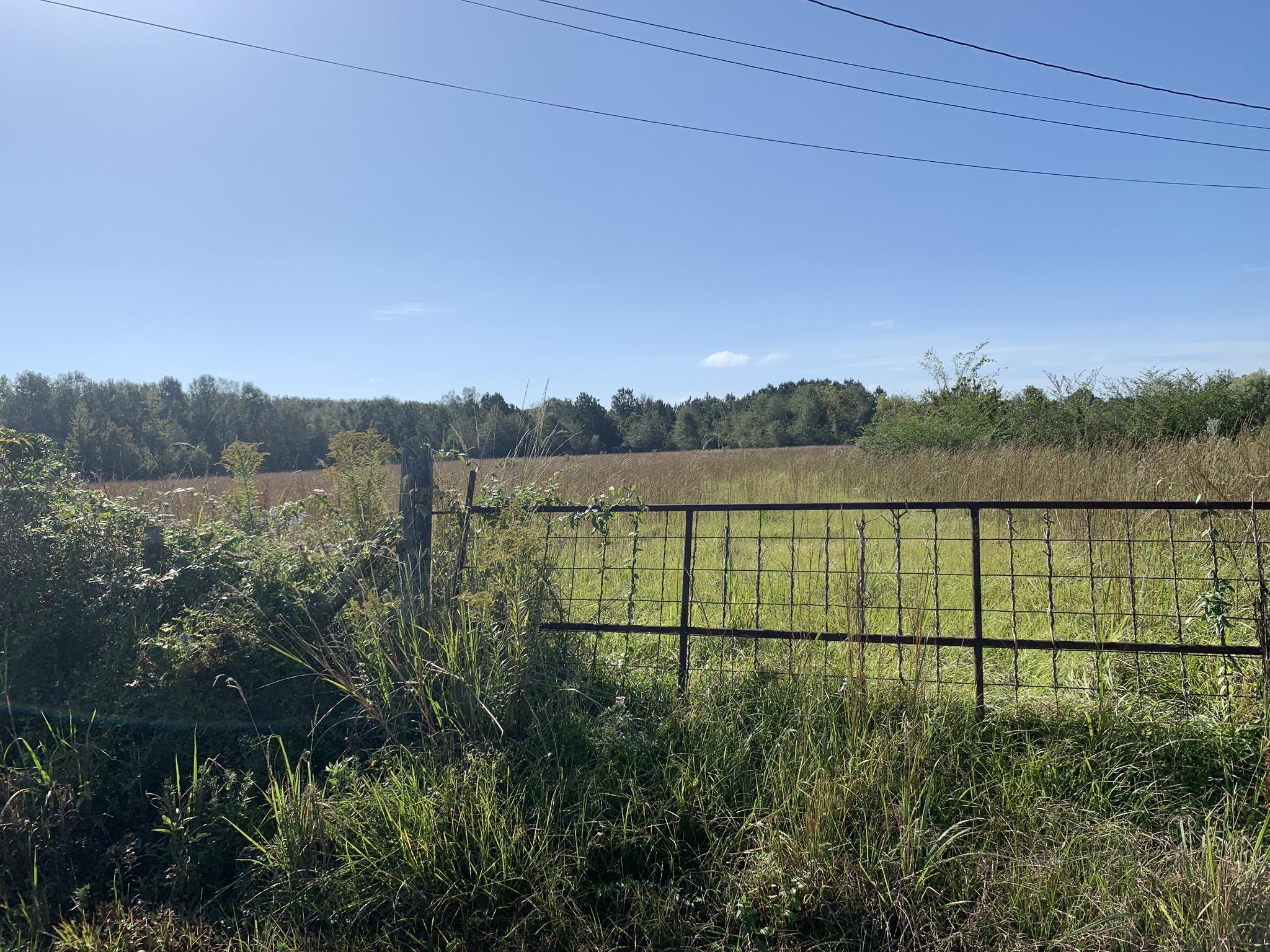 Property Photo:  270 Rankin Rd.  MS 39429 