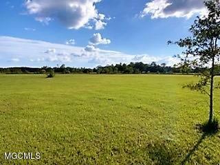 5.3 Acres James Pierce Road  Moss Point MS 39562 photo