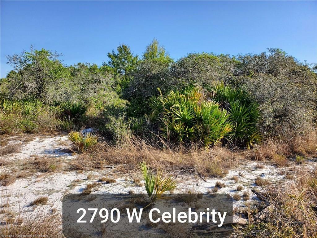 2790 W Celebrity Court  Avon Park FL 33825 photo