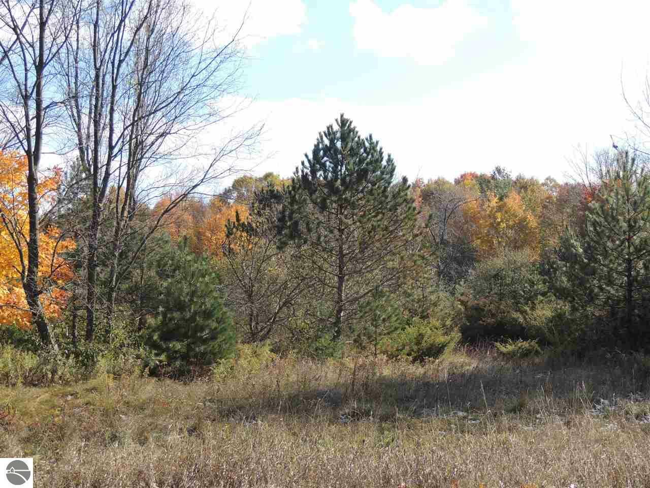 Property Photo: 24 High Meadow Trail MI 49635