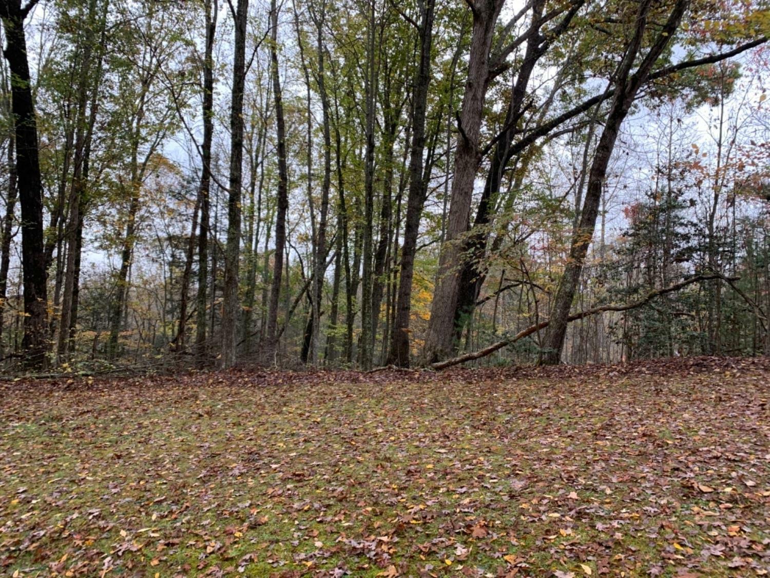 Property Photo:  37 Laurel Lake Resort Road  KY 40701 